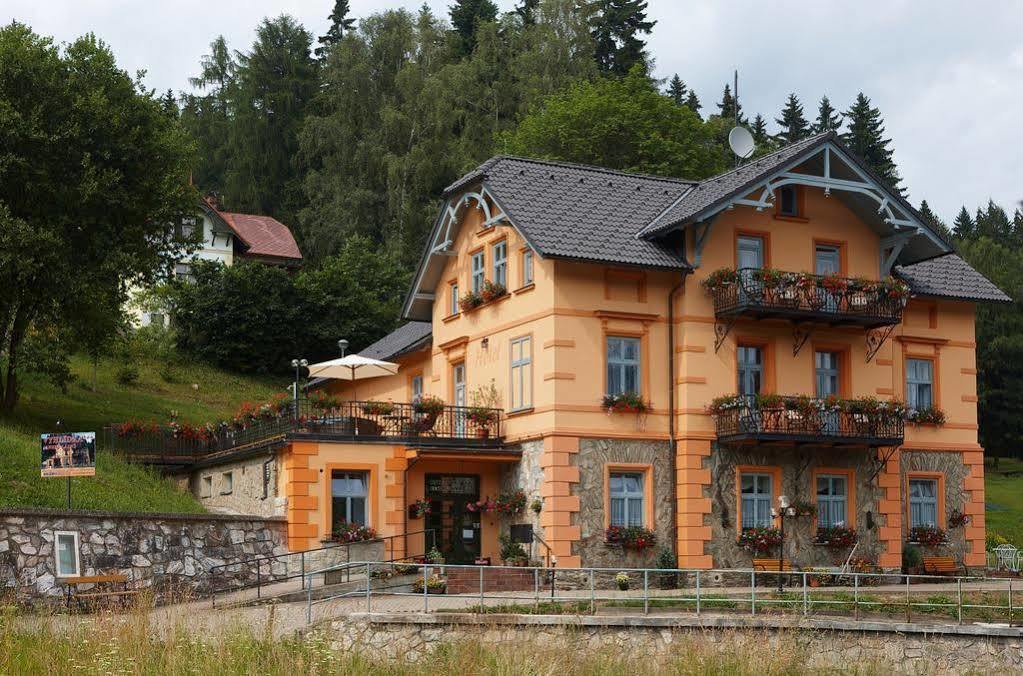 Residence Vyhlidka Янське Лазне Экстерьер фото